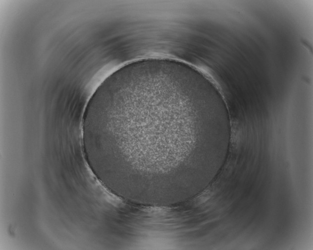 X0000103461287200809191803