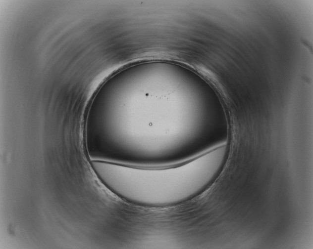 X0000103461288200809191803