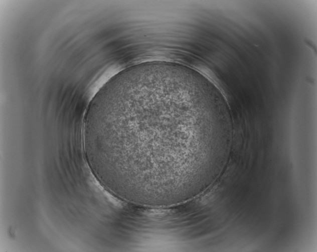 X0000103461290200809191803