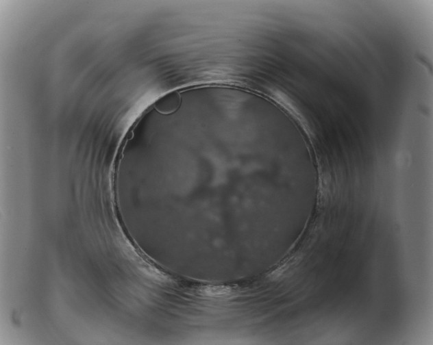 X0000103461291200809191803