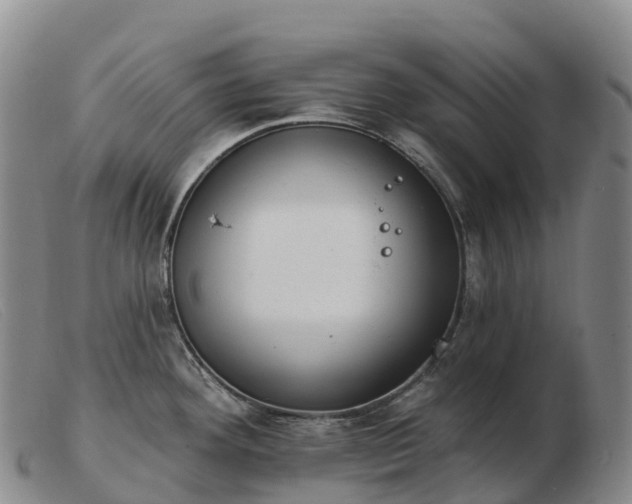 X0000103461292200809191803