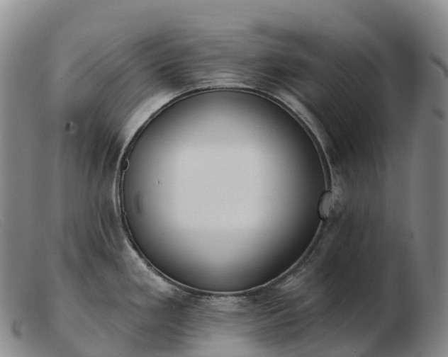 X0000103461293200809191803
