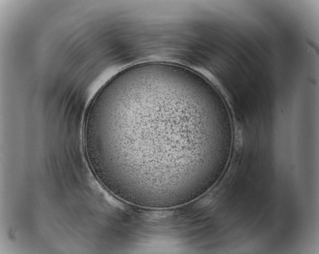 X0000103461294200809191803