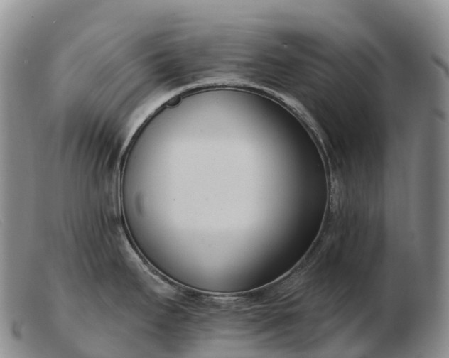 X0000103461295200809191803