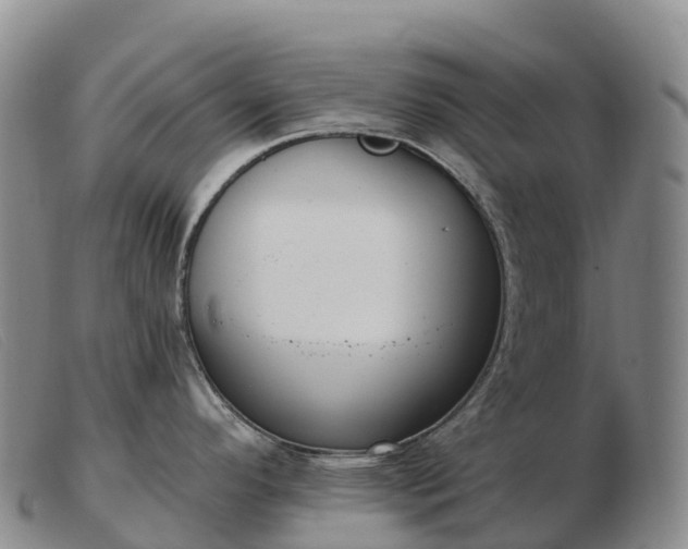 X0000103461296200809191803