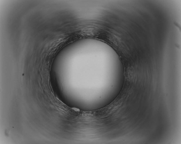 X0000103461297200809191802