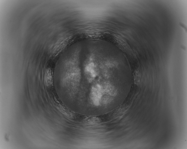 X0000103461298200809191802