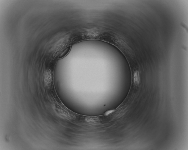 X0000103461299200809191802