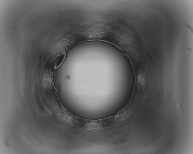 X0000103461300200809191802