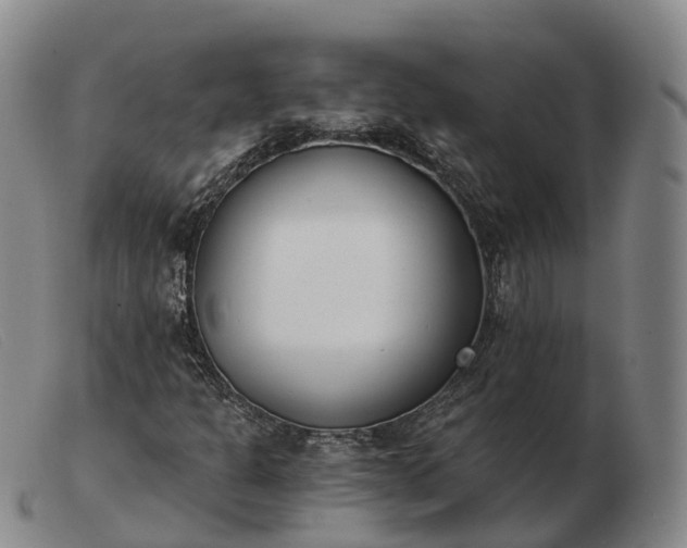 X0000103461301200809191802