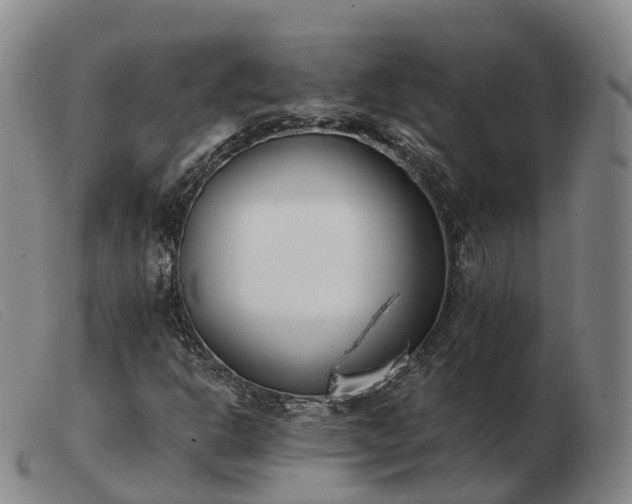 X0000103461302200809191802