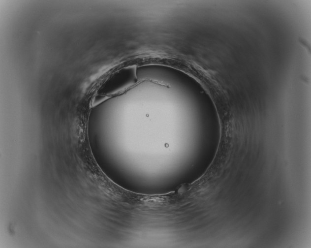 X0000103461303200809191802