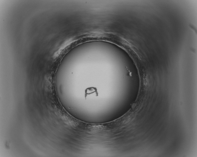 X0000103461304200809191802