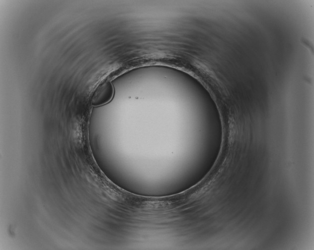 X0000103461305200809191802