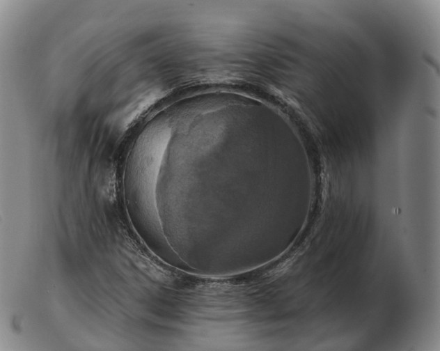 X0000103461306200809191802