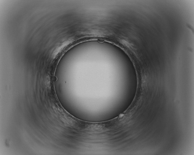 X0000103461307200809191802