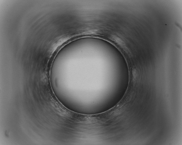 X0000103461308200809191802