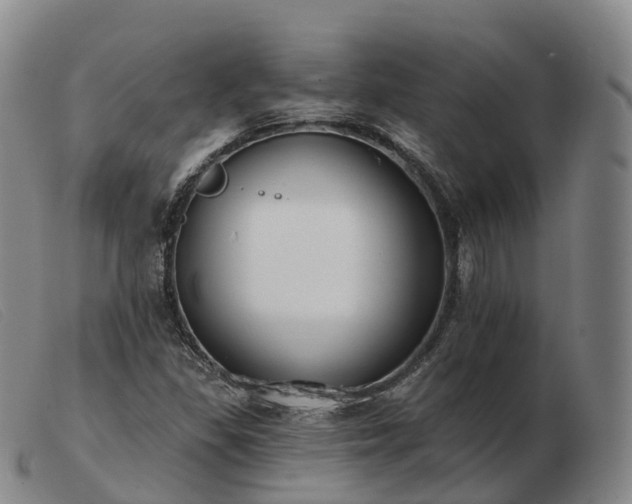X0000103461309200809191802