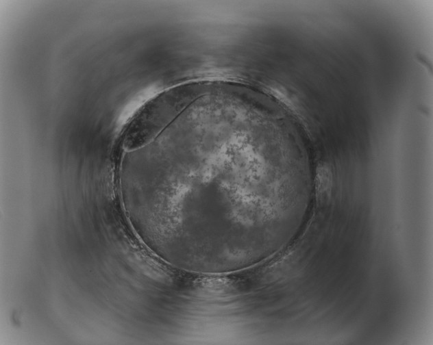 X0000103461310200809191802