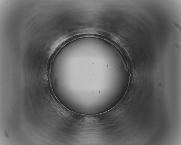 X0000103461312200809191802
