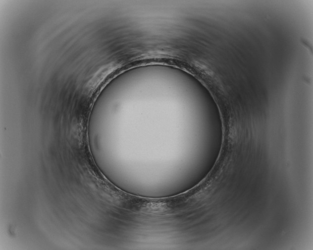 X0000103461313200809191802