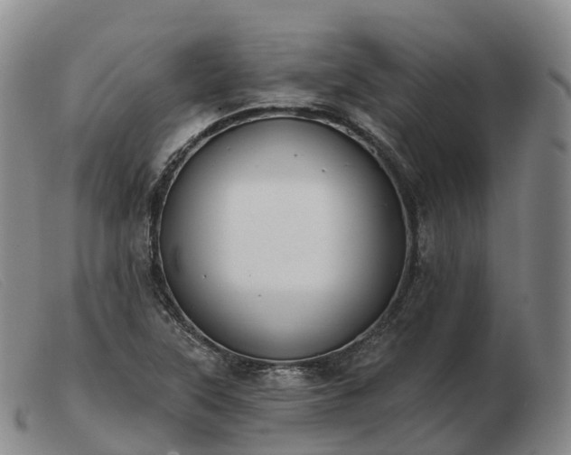 X0000103461315200809191802