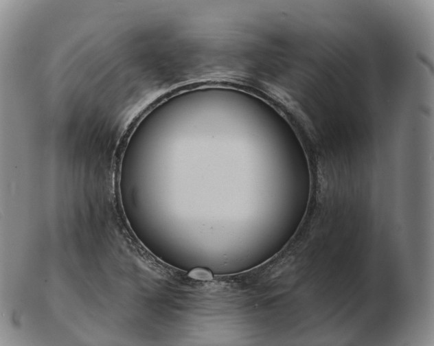 X0000103461316200809191802