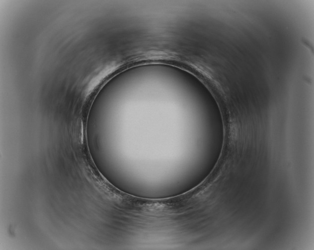 X0000103461317200809191802