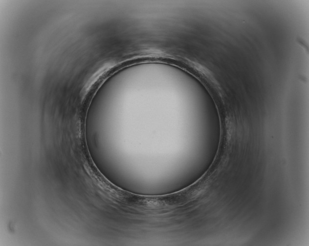 X0000103461318200809191802