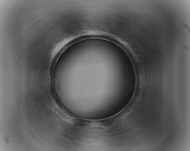 X0000103461319200809191802