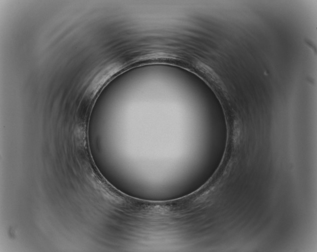 X0000103461321200809191802