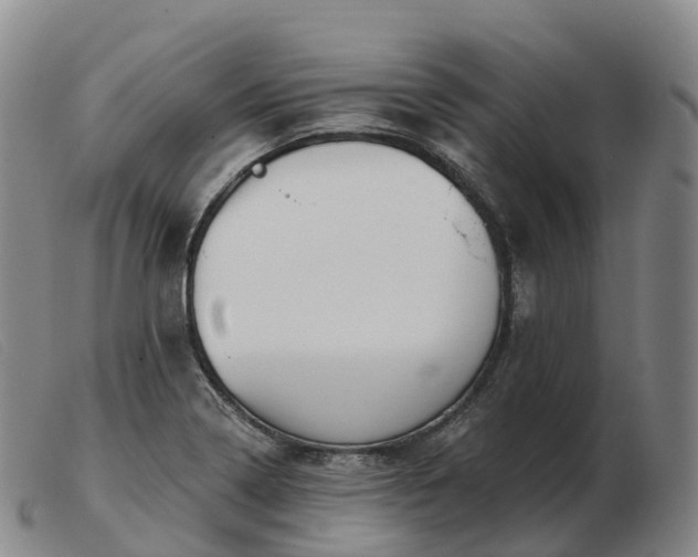 X0000103461322200809191802
