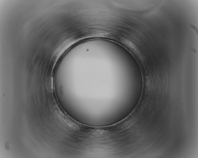 X0000103461324200809191802