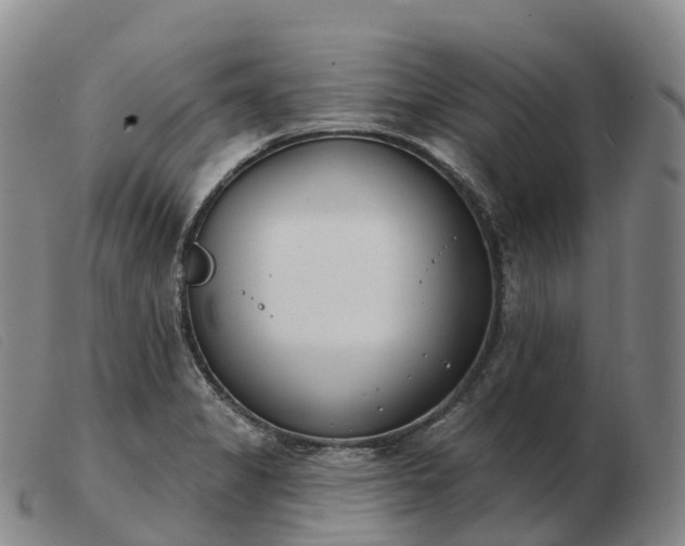 X0000103461325200809191802