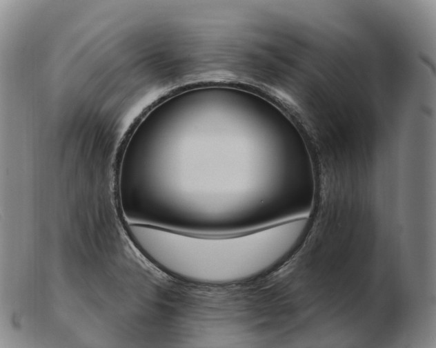 X0000103461326200809191802