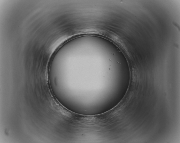 X0000103461328200809191802