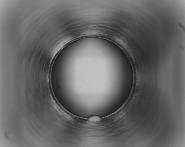 X0000103461330200809191802
