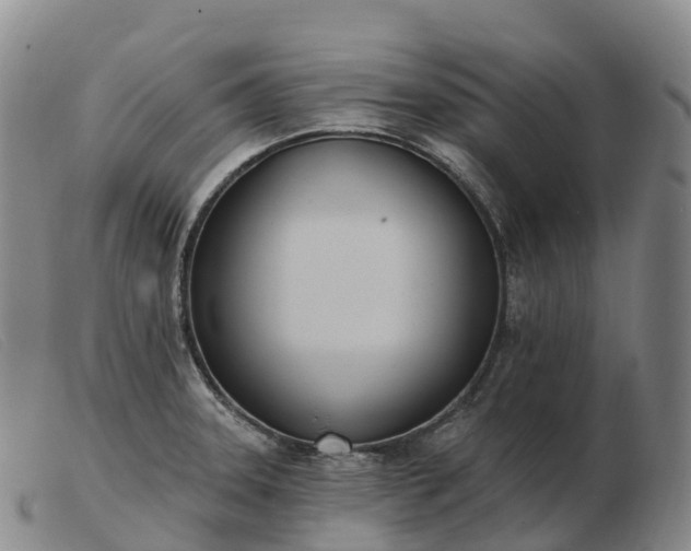 X0000103461331200809191802
