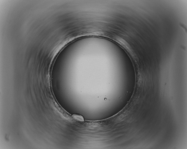 X0000103461332200809191802