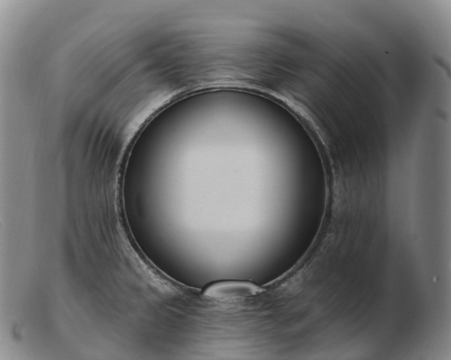 X0000103461333200809191802