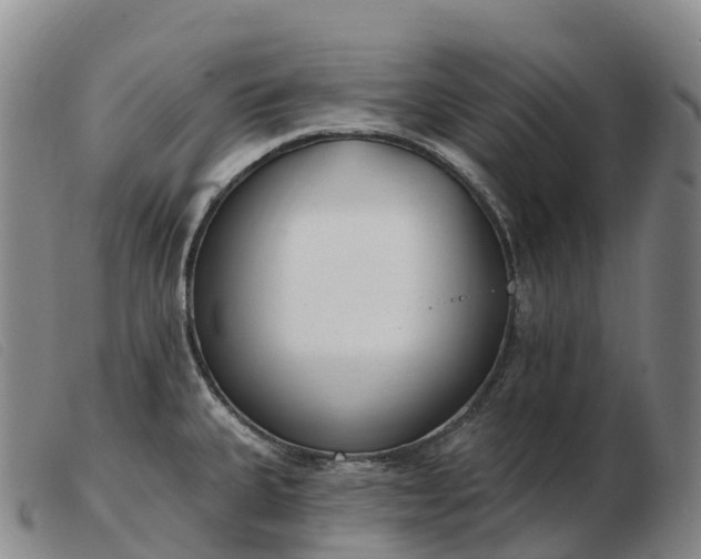 X0000103461335200809191802