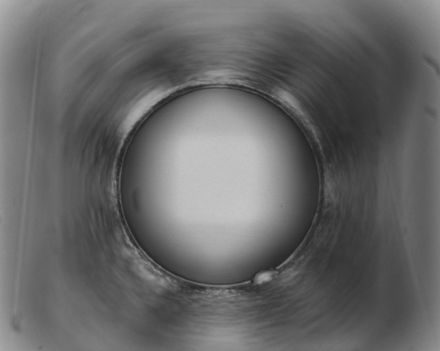 X0000103461336200809191802