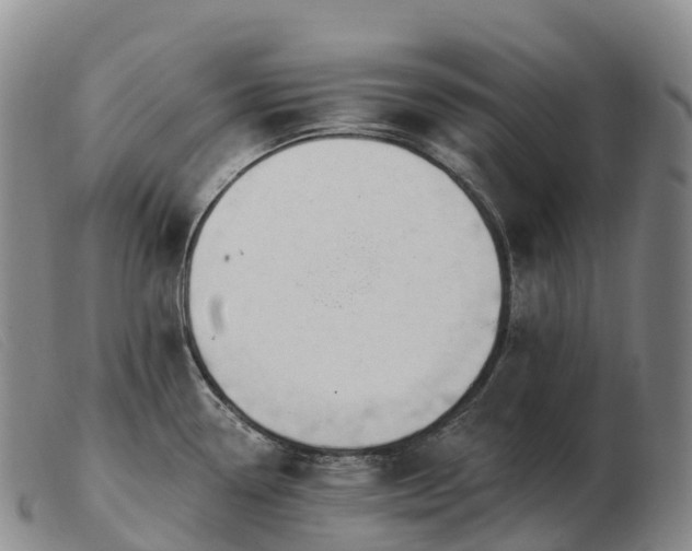 X0000103461338200809191803