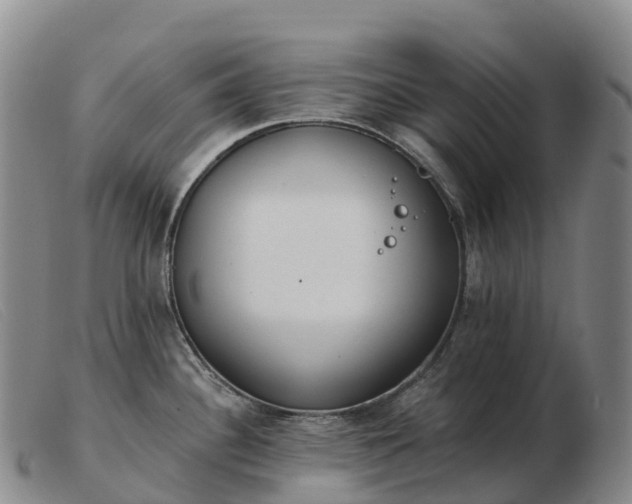 X0000103461340200809191803
