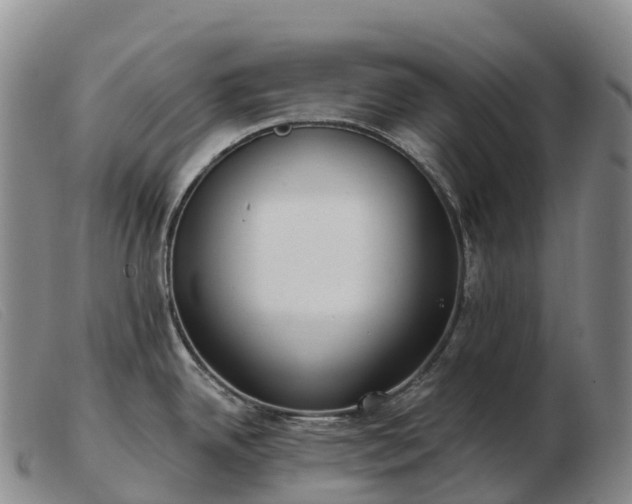 X0000103461342200809191803