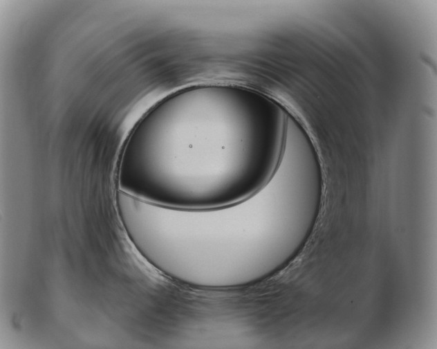 X0000103461344200809191803