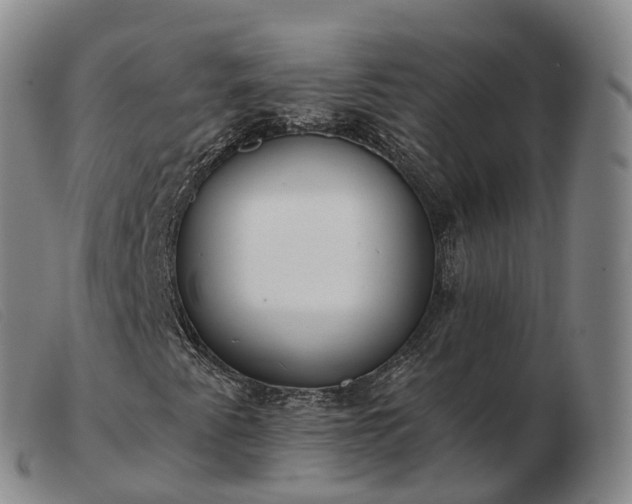 X0000103461345200809191802