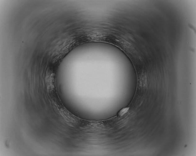 X0000103461346200809191802