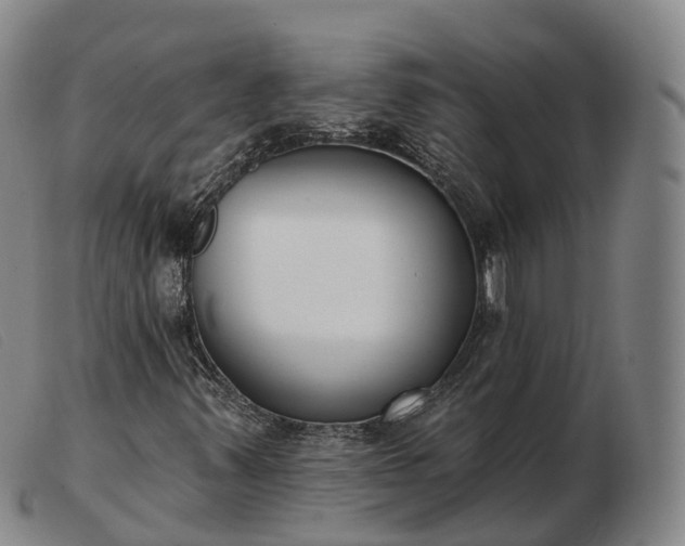 X0000103461347200809191802