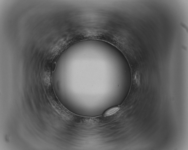 X0000103461348200809191802